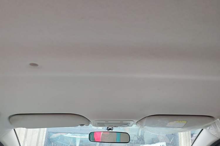 Used SOL E10X 2022 Flower Fairy Design Four-Leaf Clover Headliner