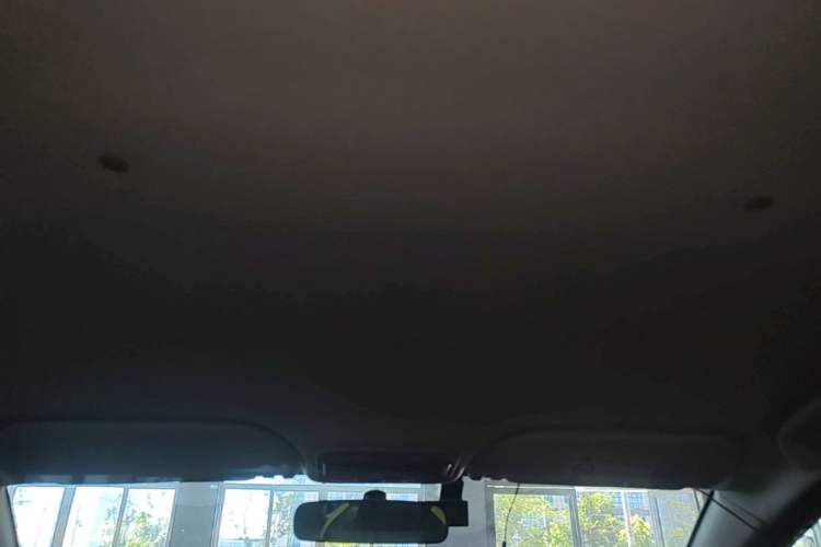 Used SOL E10X 2022 Flower Fairy Design Four-Leaf Clover Headliner