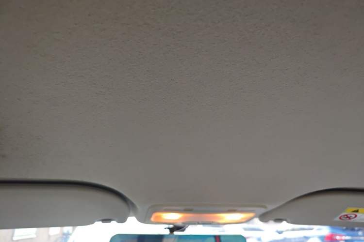 Used SOL E10X 2022 Flower Fairy Style Baby's Breath Headliner