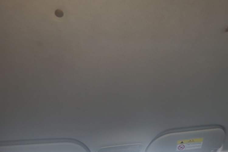 Used SOL E10X 2022 Flower Fairy Design Dandelion Headliner