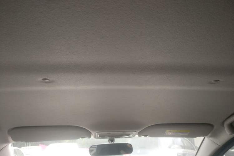 Used SOL E10X 2022 Flower Fairy Design Four-Leaf Clover Headliner