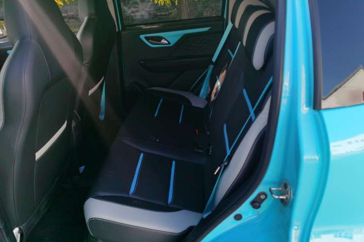 Used SOL E10X 2022 Flower Fairy Style Baby's Breath Interior 1