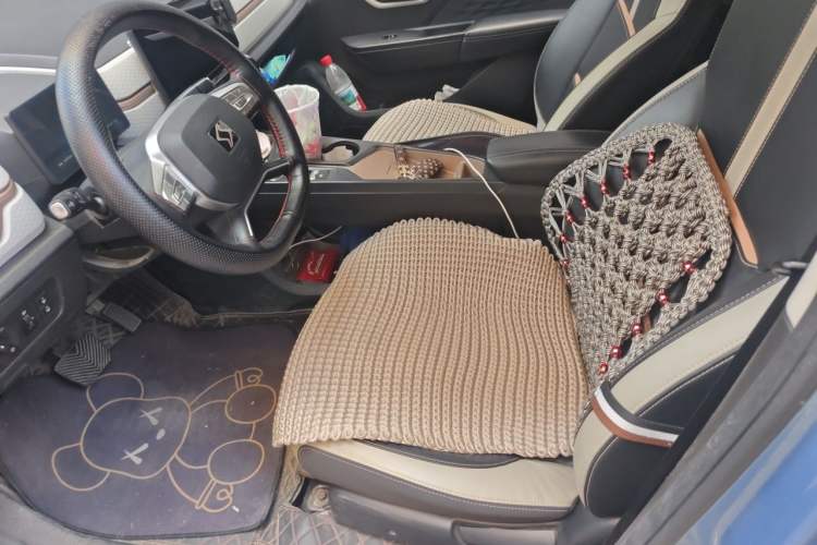 Used SOL E10X 2022 Flower Fairy Design Four-Leaf Clover Left Front Seat