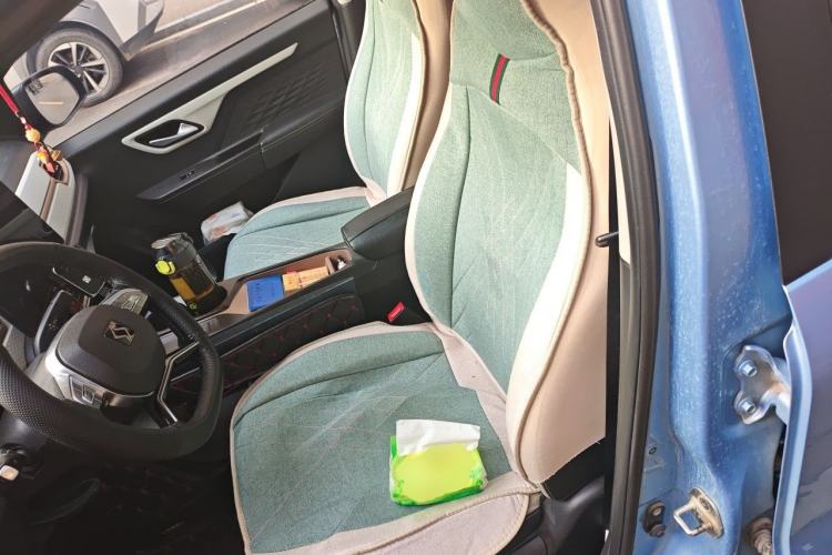 Used SOL E10X 2022 Flower Fairy Style Baby's Breath Left Front Seat