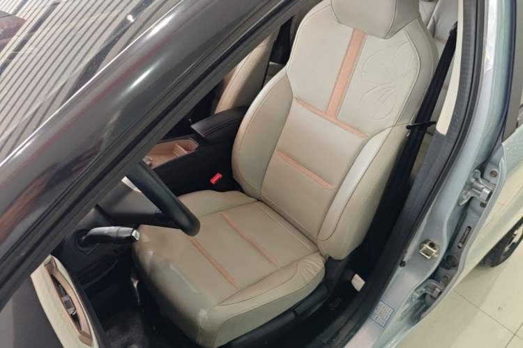 Used SOL E10X 2022 Flower Fairy Style Baby's Breath Left Front Seat
