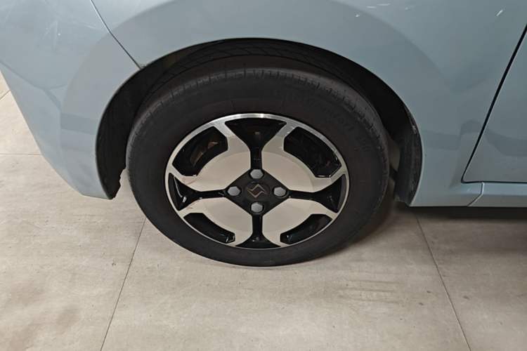 Used SOL E10X 2022 Flower Fairy Style Baby's Breath Left Front Wheel Hub