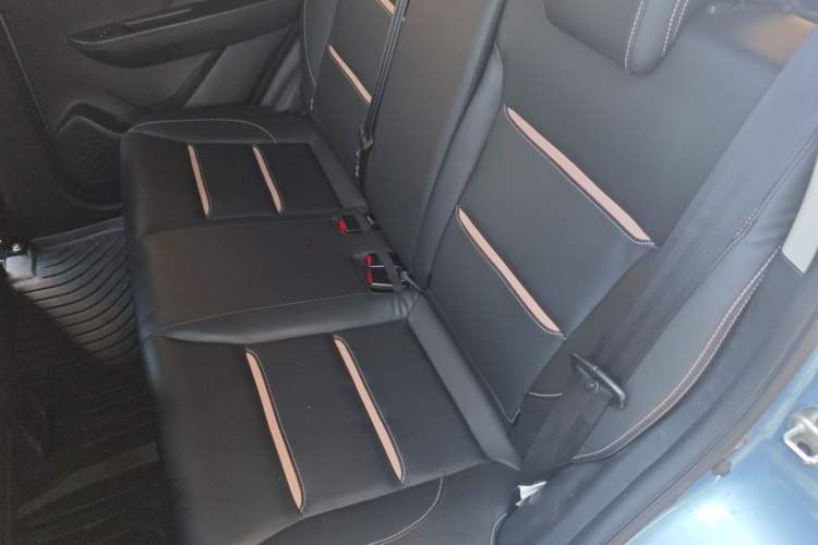 Used SOL E10X 2022 Flower Fairy Design Four-Leaf Clover Left Rear Seat