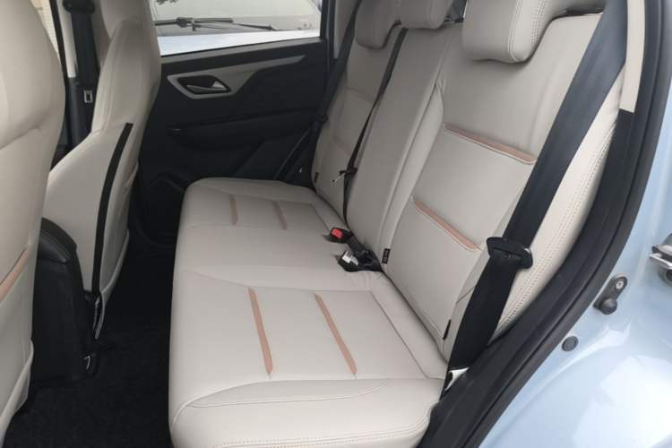 Used SOL E10X 2022 Flower Fairy Design Four-Leaf Clover Left Rear Seat