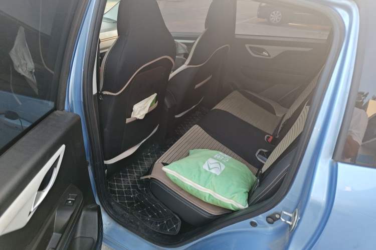 Used SOL E10X 2022 Flower Fairy Style Baby's Breath Left Rear Seat