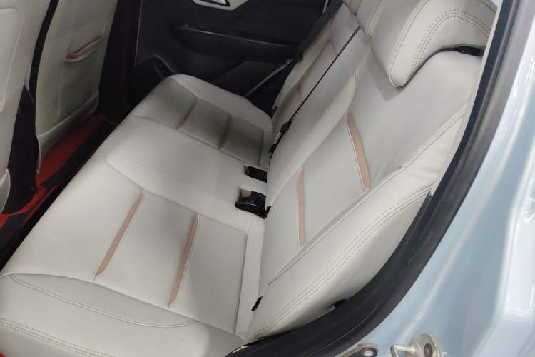 Used SOL E10X 2022 Flower Fairy Design Four-Leaf Clover Left Rear Seat