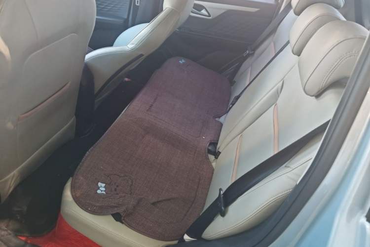 Used SOL E10X 2022 Flower Fairy Design Four-Leaf Clover Left Rear Seat