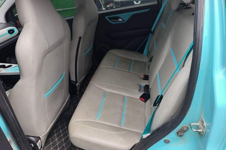 Used SOL E10X 2022 Flower Fairy Design Four-Leaf Clover Left Rear Seat