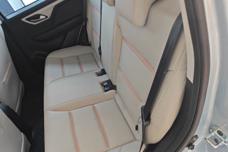 Used SOL E10X 2022 Flower Fairy Design Four-Leaf Clover Left Rear Seat