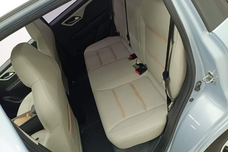 Used SOL E10X 2022 Flower Fairy Design Sunflower Left Rear Seat