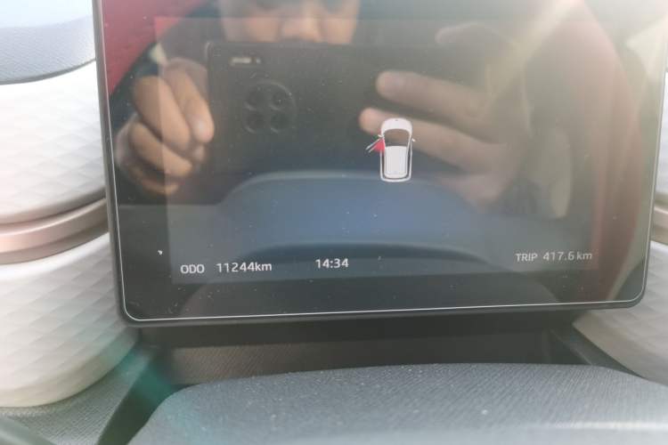 Used SOL E10X 2022 Flower Fairy Design Four-Leaf Clover Odometer Close Up