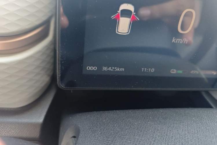 Used SOL E10X 2022 Flower Fairy Design Four-Leaf Clover Odometer Close Up