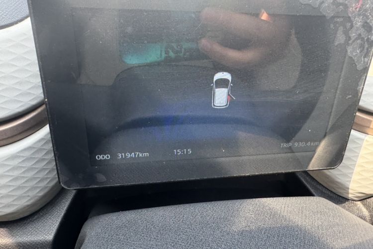 Used SOL E10X 2022 Flower Fairy Design Four-Leaf Clover Odometer Close Up