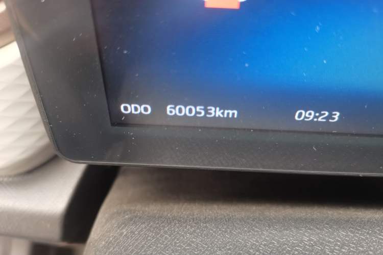 Used SOL E10X 2022 Flower Fairy Design Four-Leaf Clover Odometer Close Up