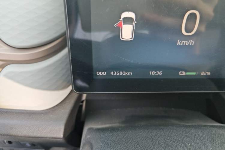 Used SOL E10X 2022 Flower Fairy Style Baby's Breath Odometer Close Up