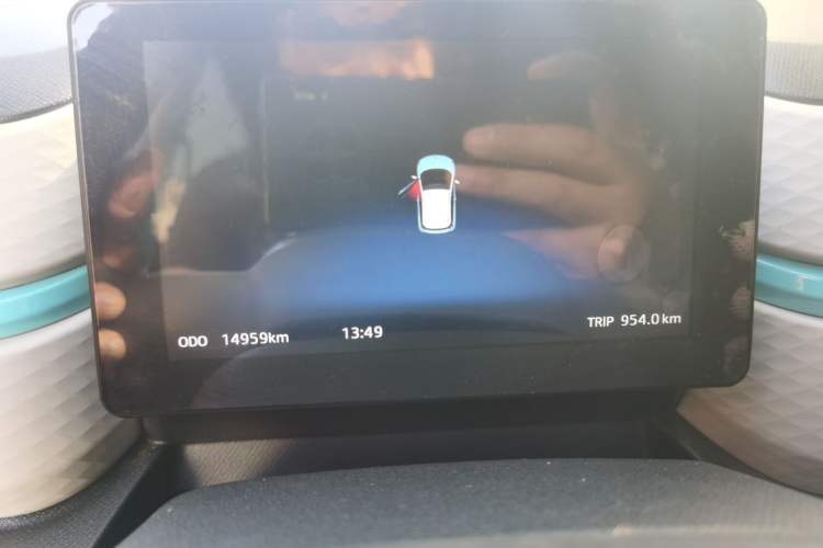 Used SOL E10X 2022 Flower Fairy Style Baby's Breath Odometer Close Up