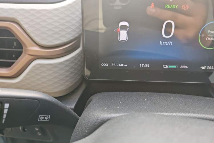 Used SOL E10X 2022 Flower Fairy Style Baby's Breath Odometer Close Up