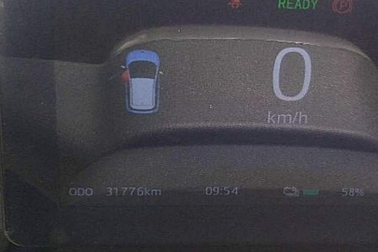 Used SOL E10X 2022 Flower Fairy Design Four-Leaf Clover Odometer Close Up