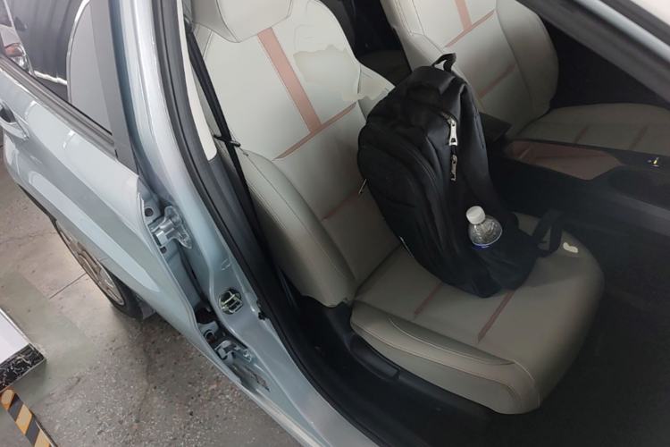 Used SOL E10X 2022 Flower Fairy Design Dandelion Right Front Seat