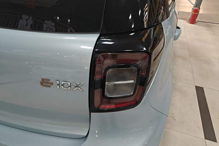 Used SOL E10X 2022 Flower Fairy Style Baby's Breath Right Rear Taillight