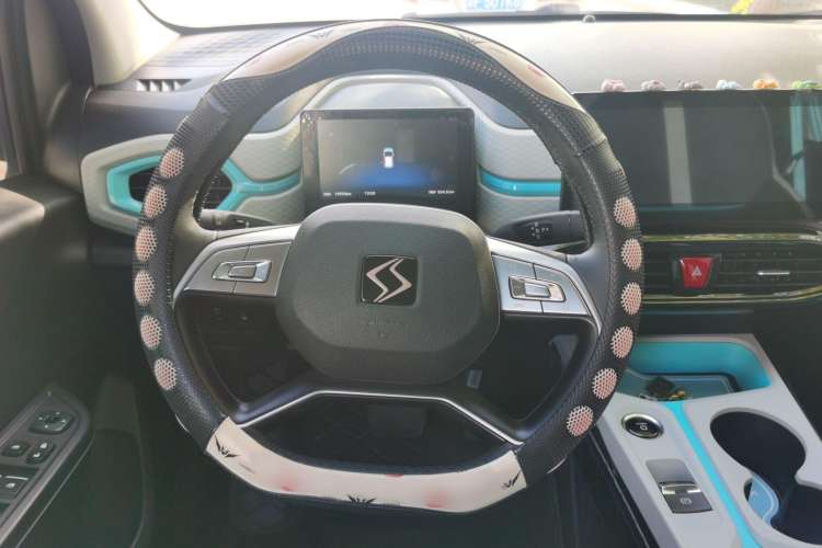 Used SOL E10X 2022 Flower Fairy Style Baby's Breath Steering Wheel