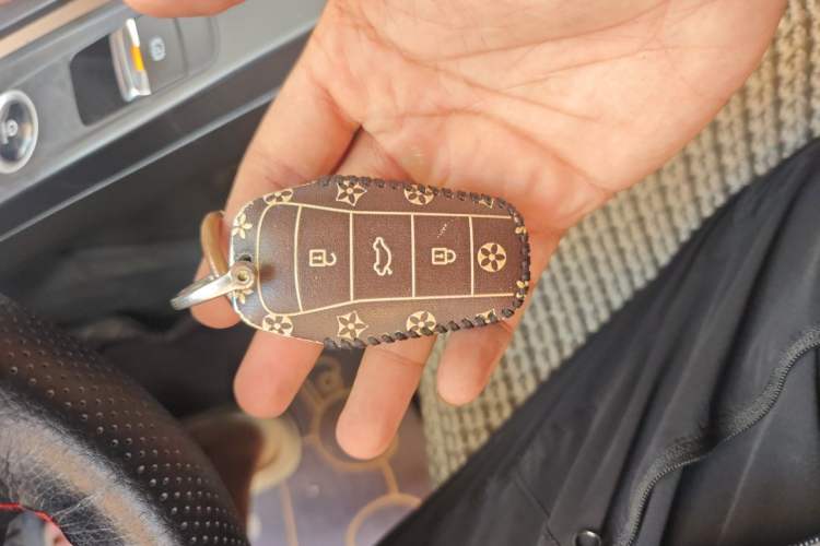 Used SOL E10X 2022 Flower Fairy Design Four-Leaf Clover Vehicle Key
