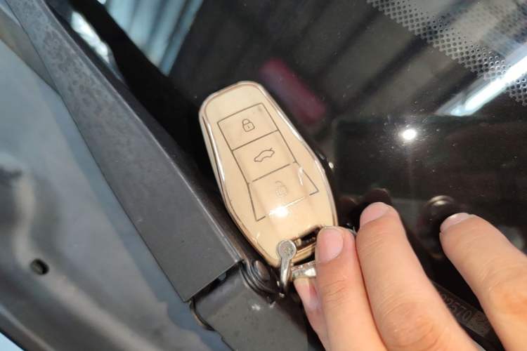 Used SOL E10X 2022 Flower Fairy Style Baby's Breath Vehicle Key