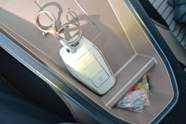 Used SOL E10X 2022 Flower Fairy Style Baby's Breath Vehicle Key