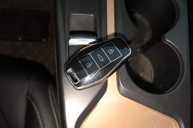 Used SOL E10X 2022 Flower Fairy Design Four-Leaf Clover Vehicle Key