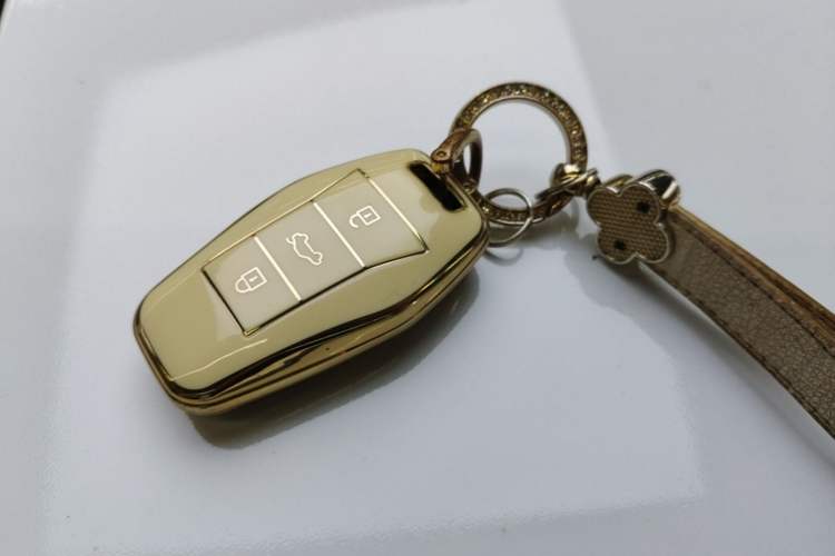Used SOL E10X 2022 Flower Fairy Style Baby's Breath Vehicle Key