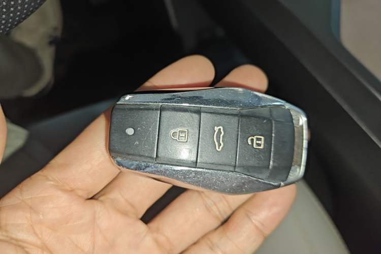 Used SOL E10X 2022 Flower Fairy Style Baby's Breath Vehicle Key