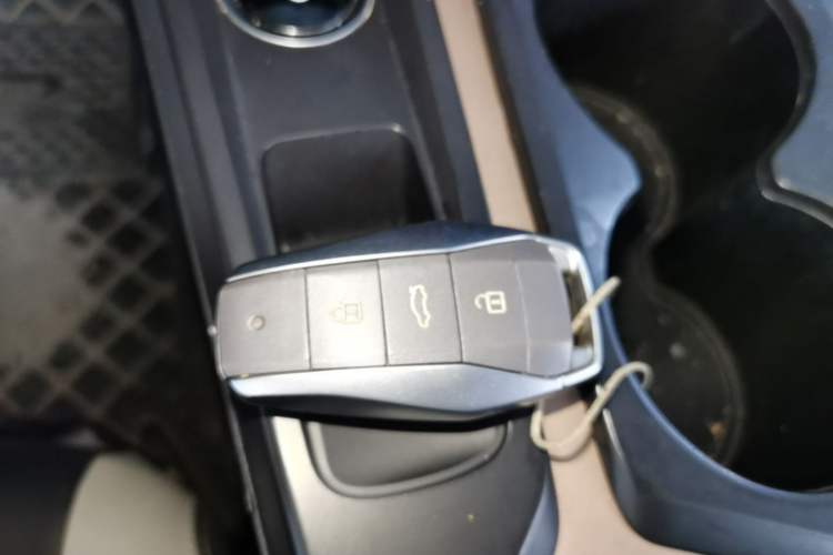 Used SOL E10X 2022 Flower Fairy Style Baby's Breath Vehicle Key