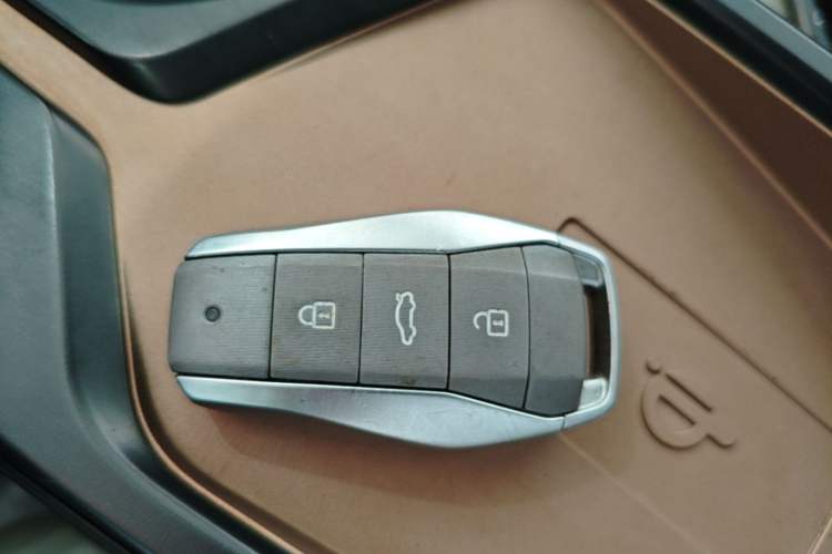 Used SOL E10X 2022 Flower Fairy Style Baby's Breath Vehicle Key