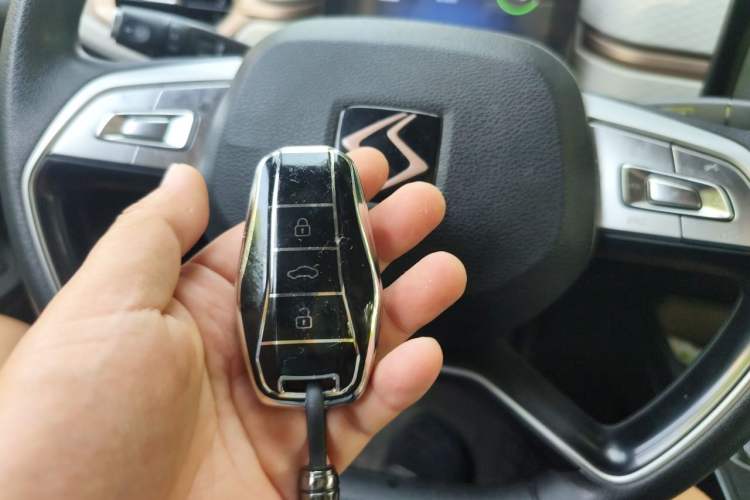 Used SOL E10X 2022 Flower Fairy Design Four-Leaf Clover Vehicle Key