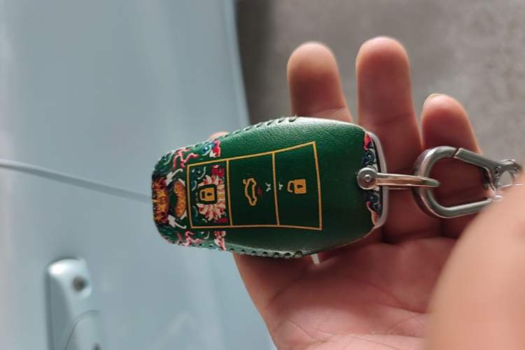 Used SOL E10X 2022 Flower Fairy Design Dandelion Vehicle Key