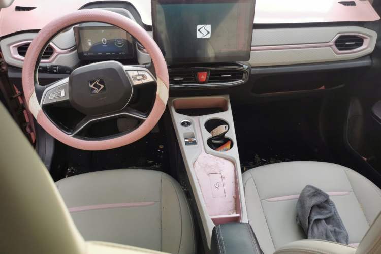 Used SOL E10X 2022 Flower Fairy Style Baby's Breath Center Console