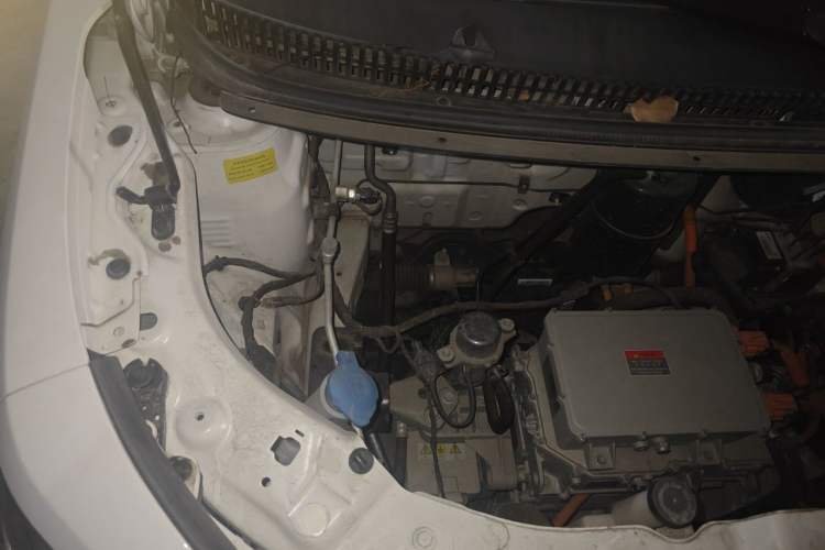 Used SOL E10X 2022 Flower Fairy Design Four-Leaf Clover Engine Bay Right