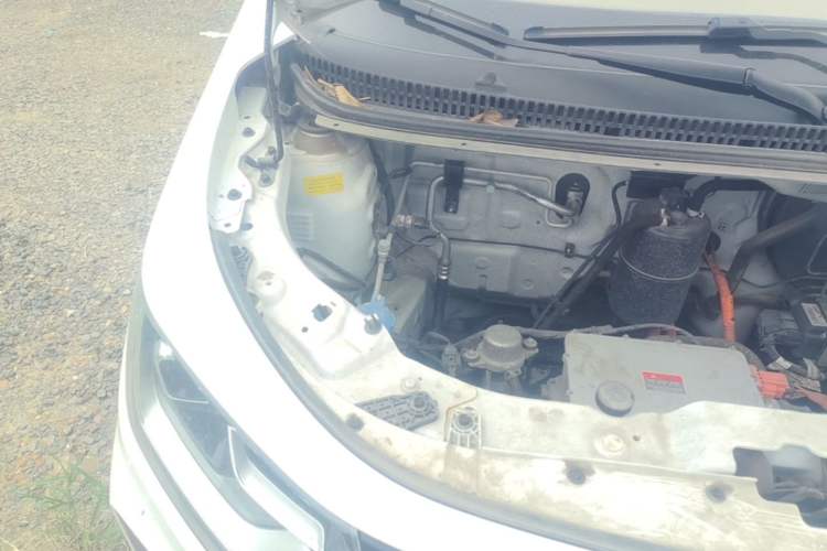 Used SOL E10X 2022 Flower Fairy Style Baby's Breath Engine Bay Right