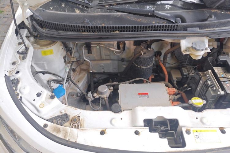 Used SOL E10X 2022 Flower Fairy Style Baby's Breath Engine Bay Right