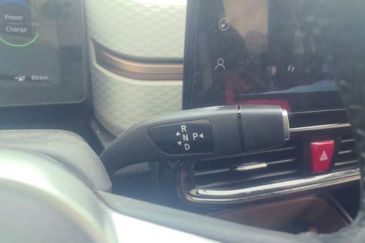 Used SOL E10X 2022 Flower Fairy Style Baby's Breath Gear Lever