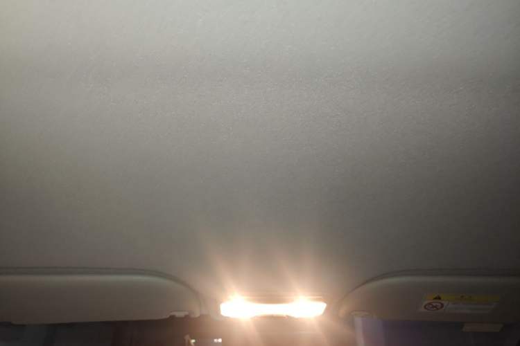 Used SOL E10X 2022 Flower Fairy Design Four-Leaf Clover Headliner