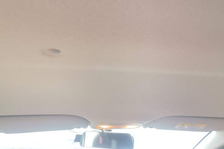 Used SOL E10X 2022 Flower Fairy Style Baby's Breath Headliner