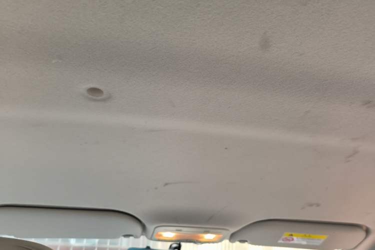 Used SOL E10X 2022 Flower Fairy Design Four-Leaf Clover Headliner