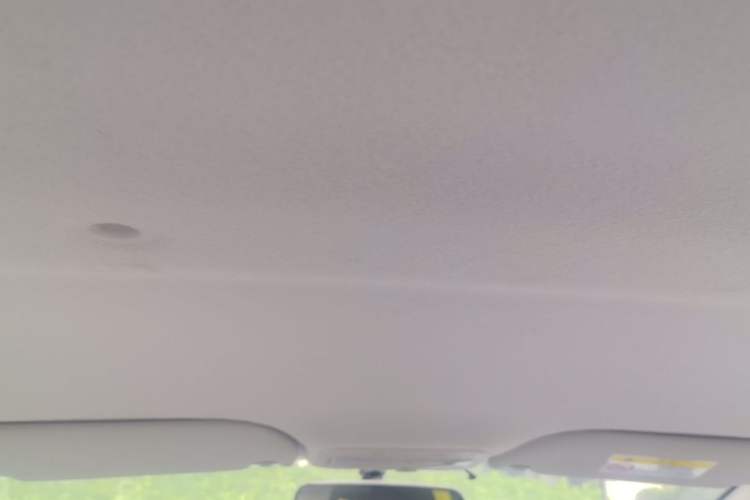 Used SOL E10X  Headliner