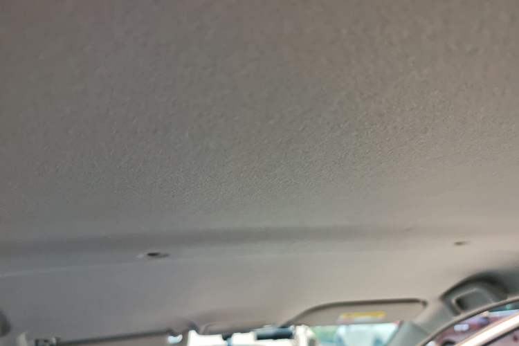 Used SOL E10X 2022 Flower Fairy Design Four-Leaf Clover Headliner
