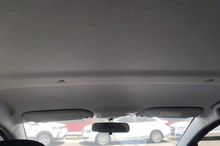 Used SOL E10X 2022 Flower Fairy Design Sunflower Headliner